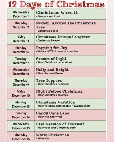 12 Days of Christmas at LHS